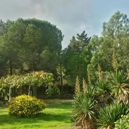 Maisonette Rustique- Pinede Piscine Ferienhaus Argelès-sur-Mer