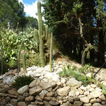 Maisonette Rustique- Pinede Piscine * Argelès-sur-Mer